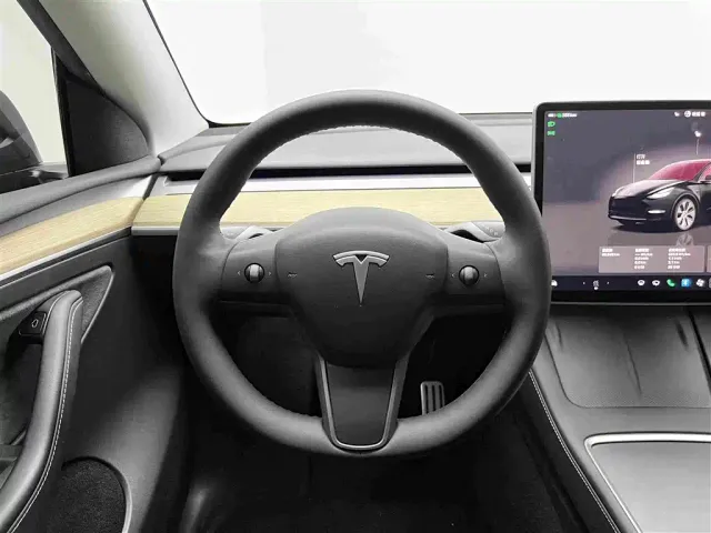 Tesla Model Y — Фото автомобиля 10