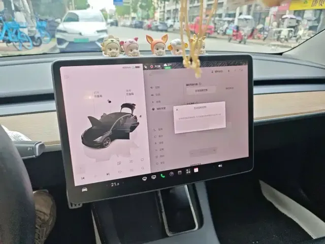 Tesla Model 3 2021 Second Facelift Performance High-Performance AWD Version — Фото автомобиля 5