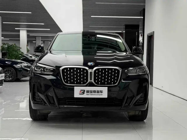 BMW X4 — Фото автомобиля 2
