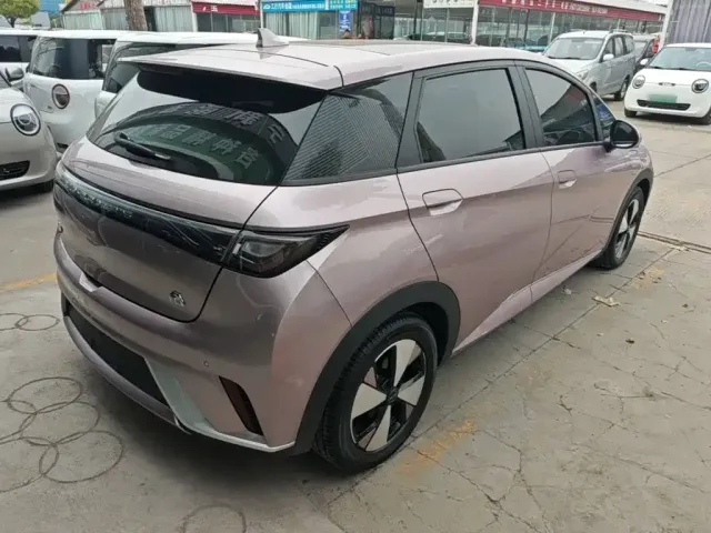 BYD Dolphin — Фото автомобиля 6