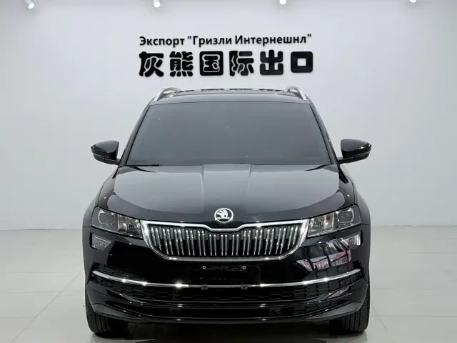Skoda Karoq — Фото автомобиля 2