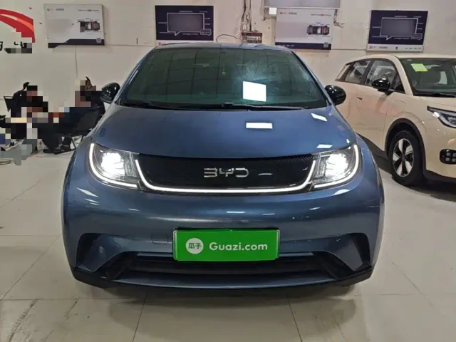 BYD Dolphin — Фото автомобиля 2
