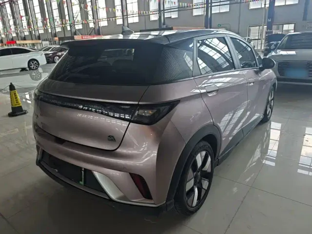 BYD Dolphin — Фото автомобиля 6