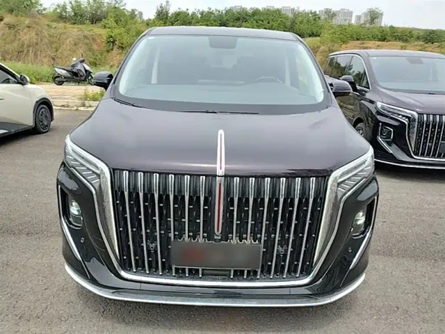 Hongqi HQ9 PHEV — Фото автомобиля 2