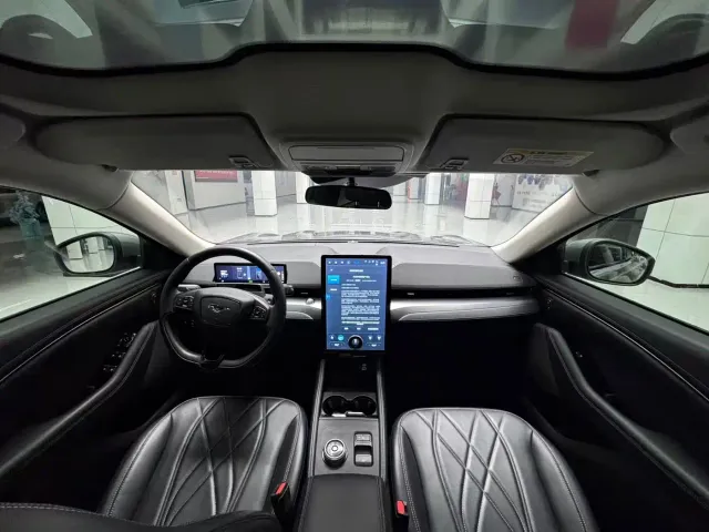 Ford Mustang Mach-E — Фото автомобиля 15