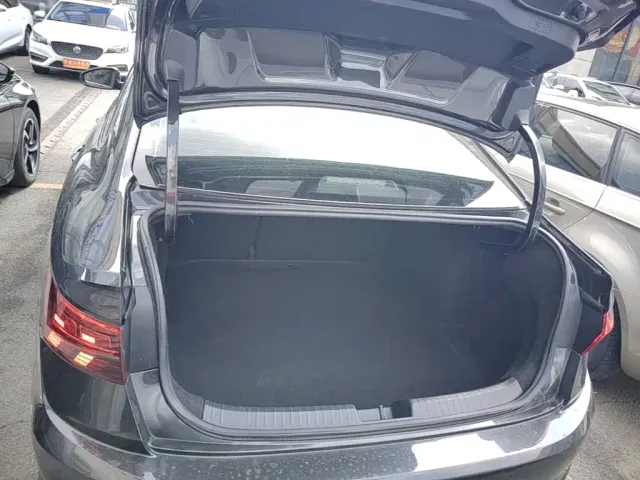 Volkswagen Sagitar — Фото автомобиля 18