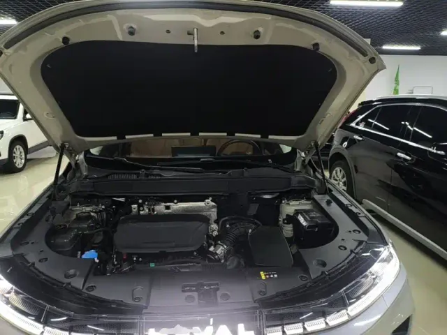Haval Xiaolong MAX — Фото автомобиля 19
