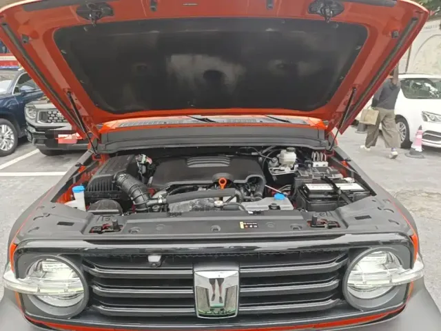 Tank Tank 300 2023 Off-Road Edition 2.0T Challenger — Фото автомобиля 19