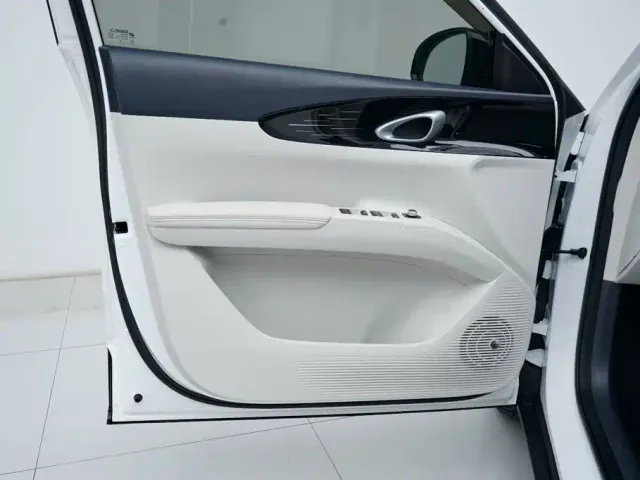 Geely Starry Wish — Фото автомобиля 10