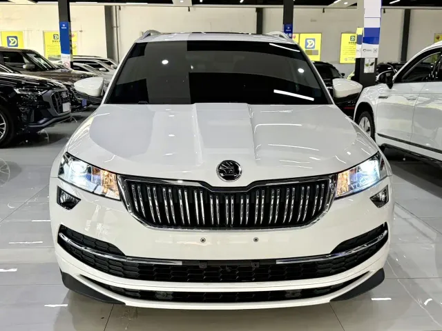 Skoda Karoq — Фото автомобиля 2