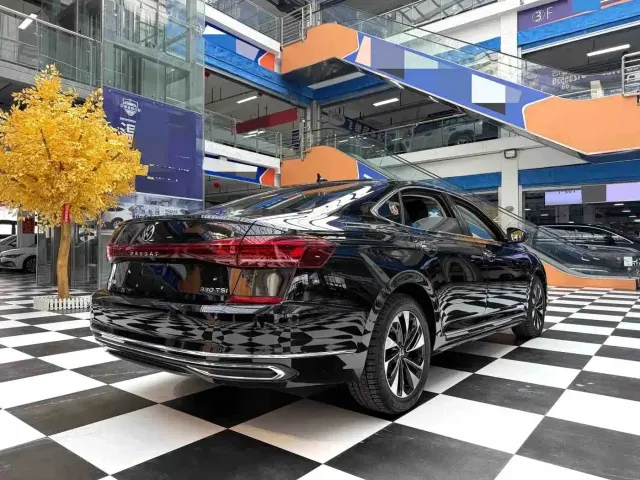 Volkswagen Passat — Фото автомобиля 13