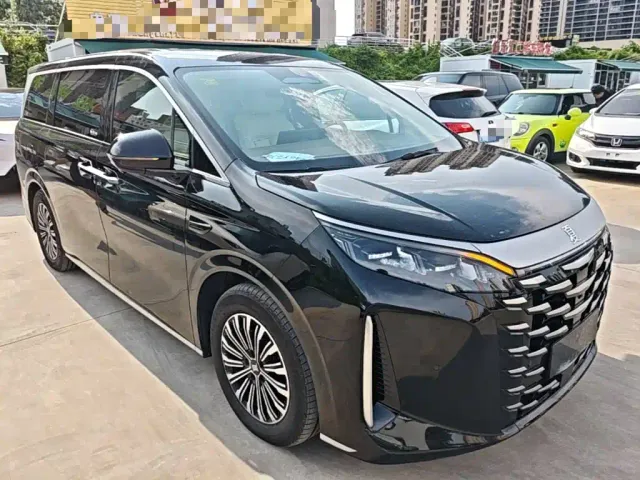BYD Xia — Фото автомобиля 21