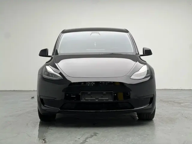 Tesla Model Y — Фото автомобиля 2