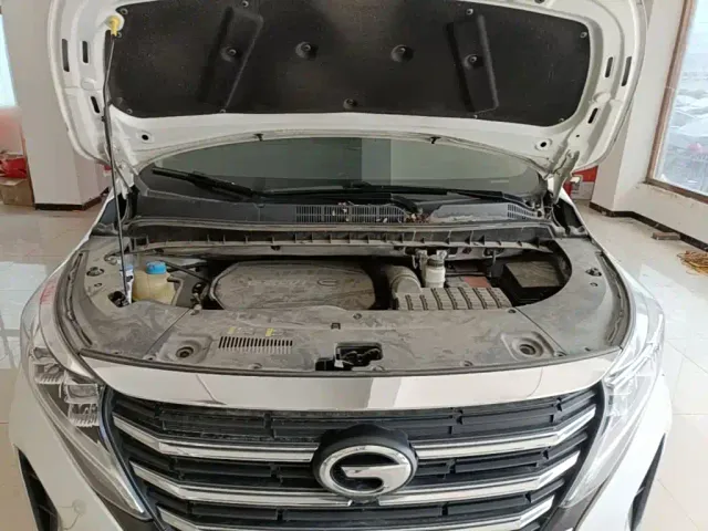 GAC Trumpchi M8 — Фото автомобиля 19