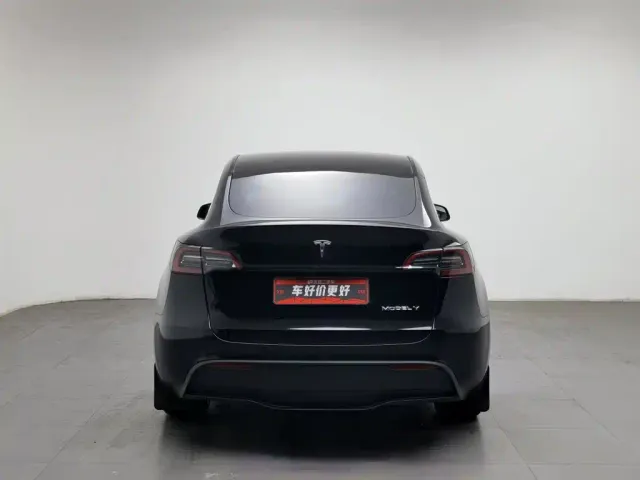 Tesla Model Y — Фото автомобиля 4