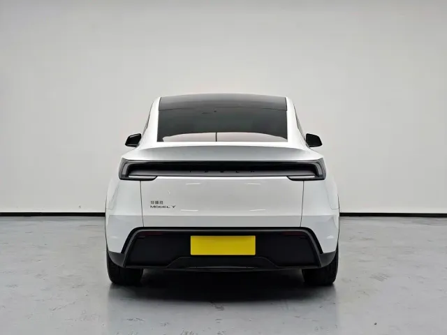 Tesla Model Y — Фото автомобиля 6