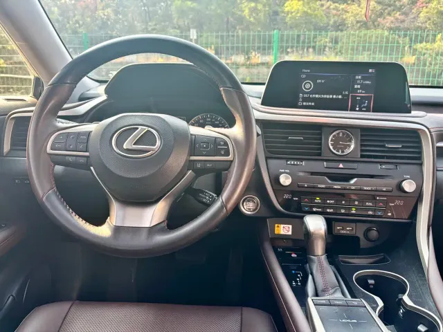 Lexus RX — Фото автомобиля 12