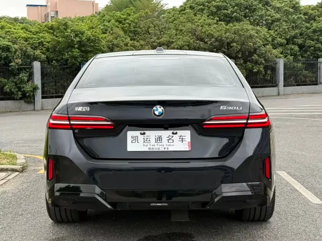 BMW 5 Series — Фото автомобиля 13