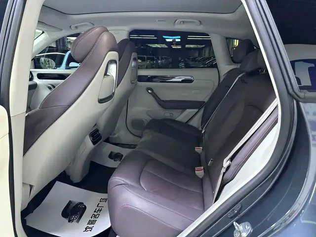 Leapmotor C11 — Фото автомобиля 5