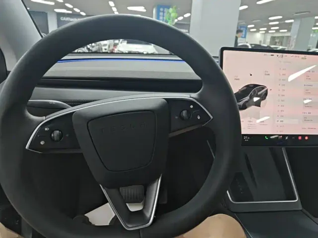 Tesla Model Y — Фото автомобиля 10
