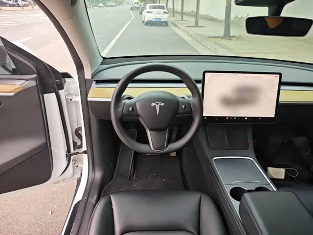 Tesla Model Y — Фото автомобиля 10