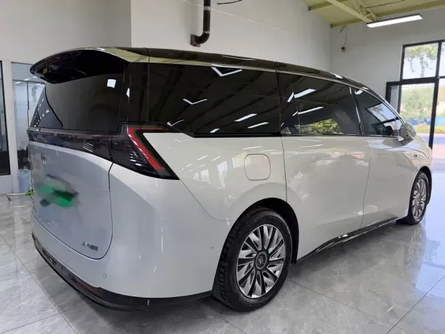 Buick Zhijing Shijia — Фото автомобиля 9