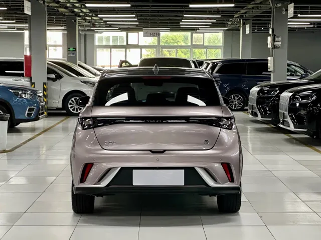 BYD Dolphin — Фото автомобиля 13