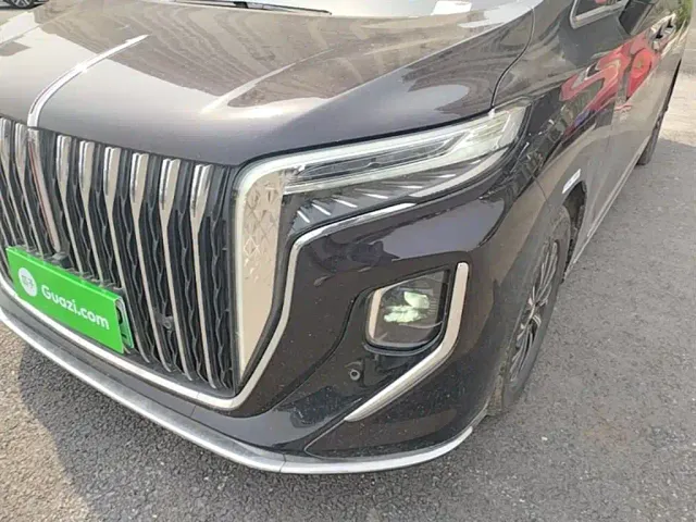 Hongqi HQ9 PHEV — Фото автомобиля 23
