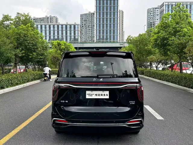 Hongqi HQ9 PHEV — Фото автомобиля 7