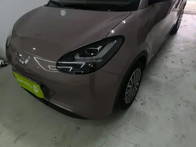 Wuling Motors Wuling Bingo 2023 203km Comfort Version — Фото автомобиля 23