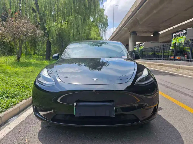 Tesla Model Y — Фото автомобиля 2