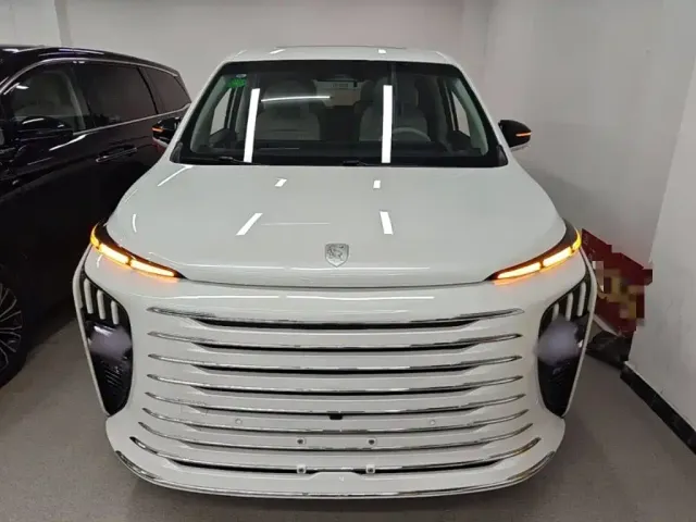 Forthing Xinghai V9 — Фото автомобиля 2