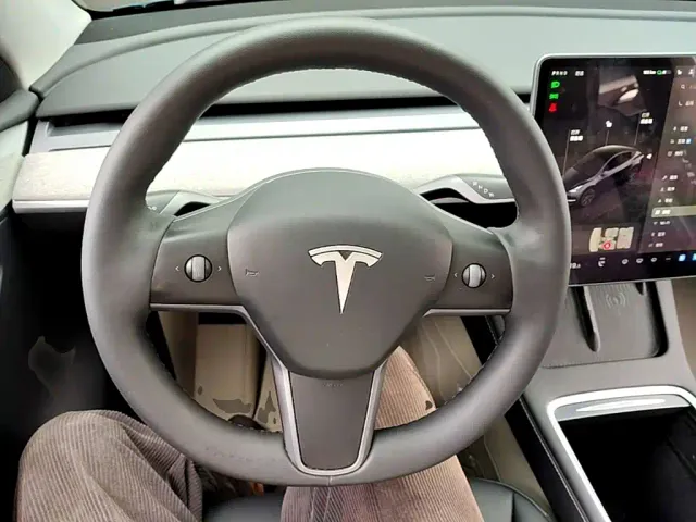 Tesla Model Y — Фото автомобиля 10