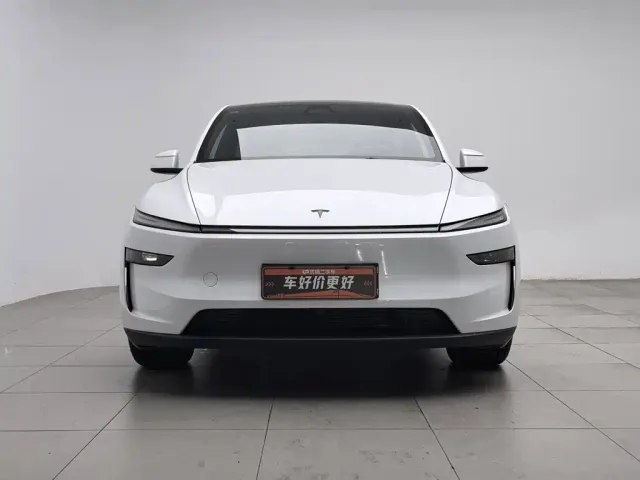 Tesla Model Y — Фото автомобиля 3