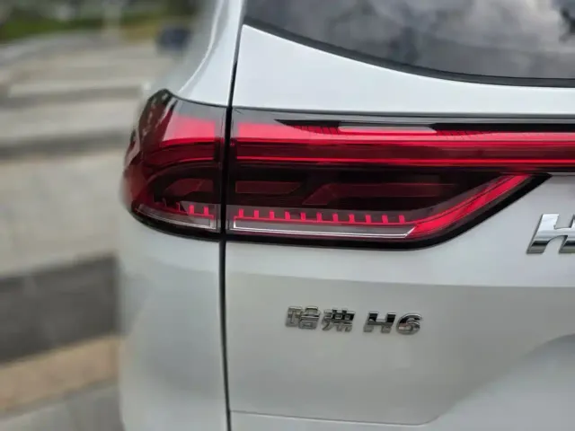 Haval Haval H6 2021 Model National Trend Edition 1.5T Auto Champion — Фото автомобиля 19