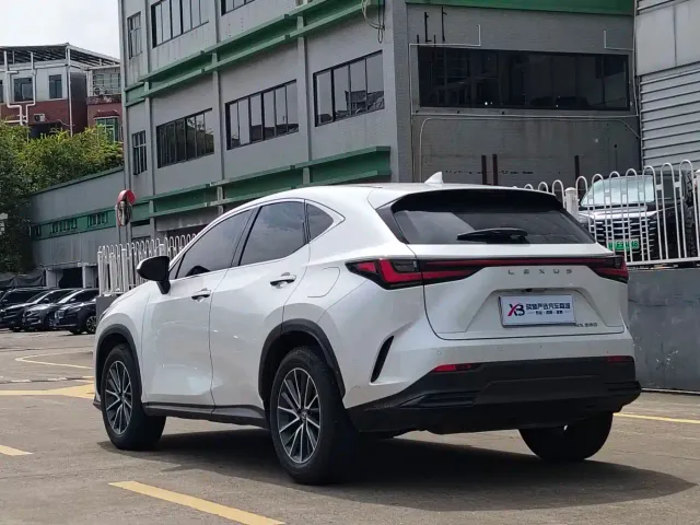 Lexus NX — Фото автомобиля 14