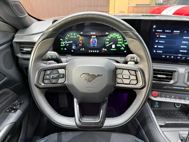Ford Mustang — Фото автомобиля 15