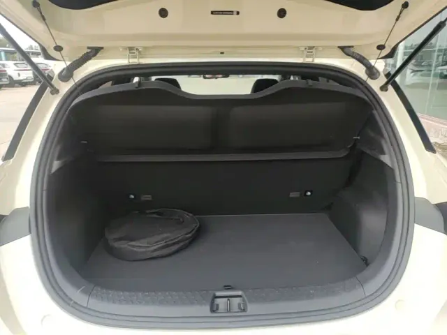 BYD Dolphin — Фото автомобиля 18