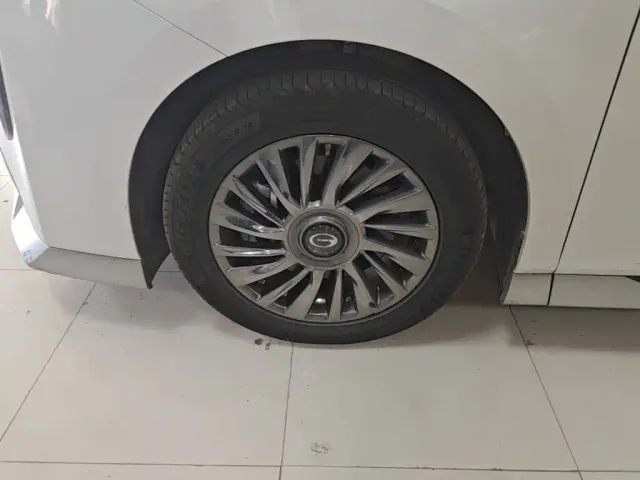 GAC Trumpchi M8 — Фото автомобиля 22