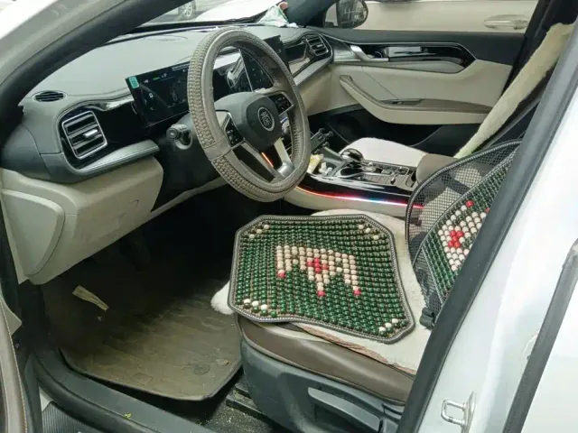 BYD Qin PLUS — Фото автомобиля 9