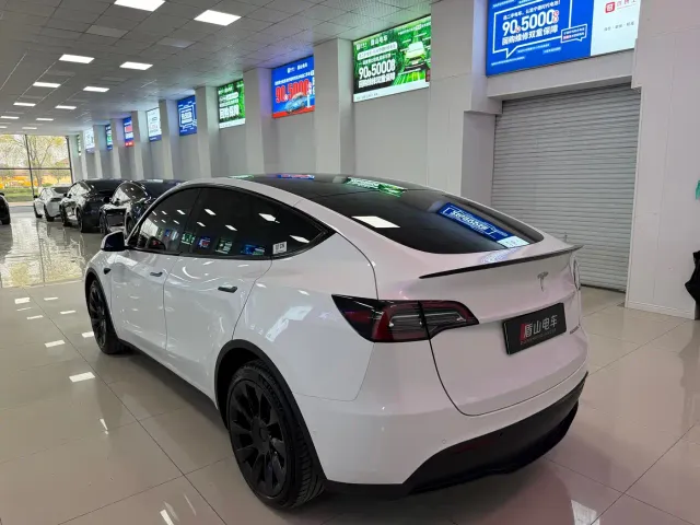 Tesla Model Y — Фото автомобиля 4