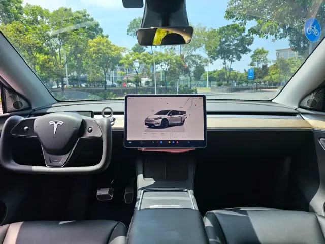 Tesla Model Y — Фото автомобиля 12