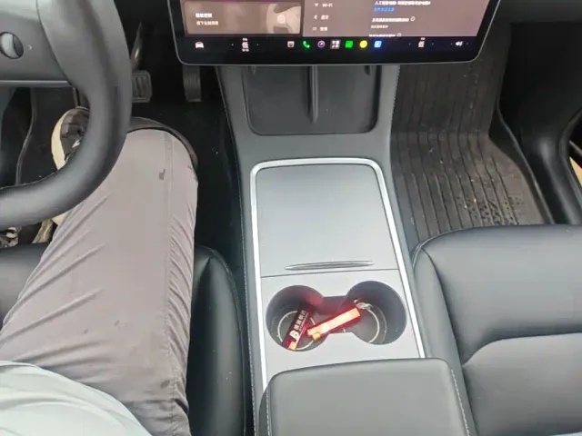 Tesla Model Y — Фото автомобиля 13