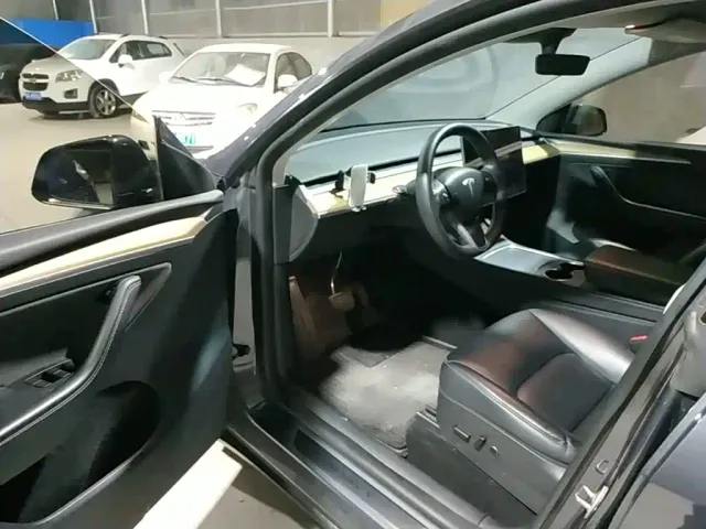Tesla Model Y — Фото автомобиля 15