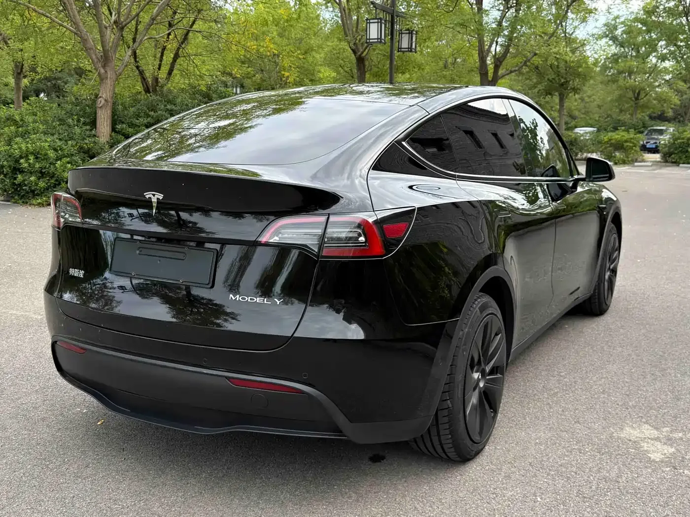 Tesla Model Y 2023 Rear-Wheel Drive Edition — Фото автомобиля 6