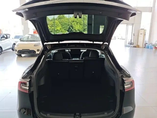 Tesla Model Y — Фото автомобиля 18