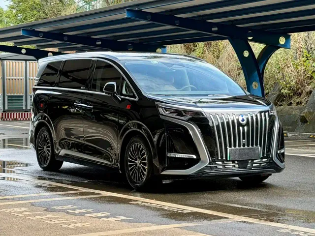 Denza D9 — Фото автомобиля 3