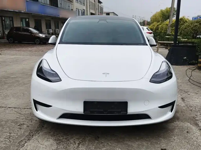 Tesla Model Y — Фото автомобиля 2