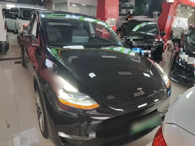 Tesla Model Y — Фото автомобиля 2