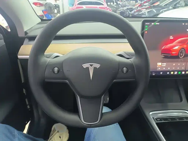 Tesla Model Y — Фото автомобиля 10